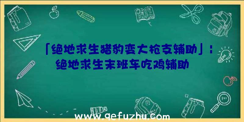 「绝地求生猎豹变大枪支辅助」|绝地求生末班车吃鸡辅助